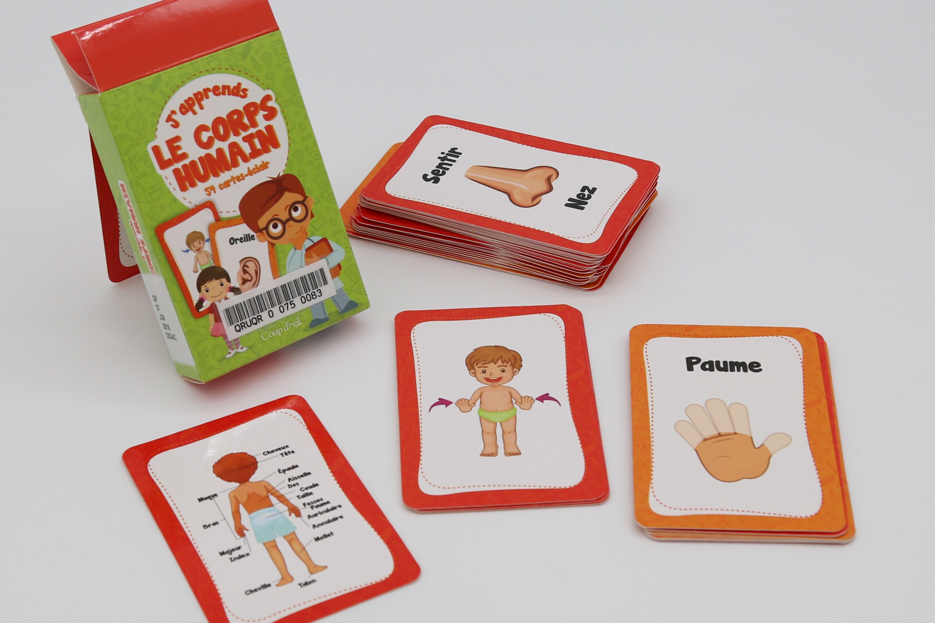 J'apprends le corps humain 6.1.JPG