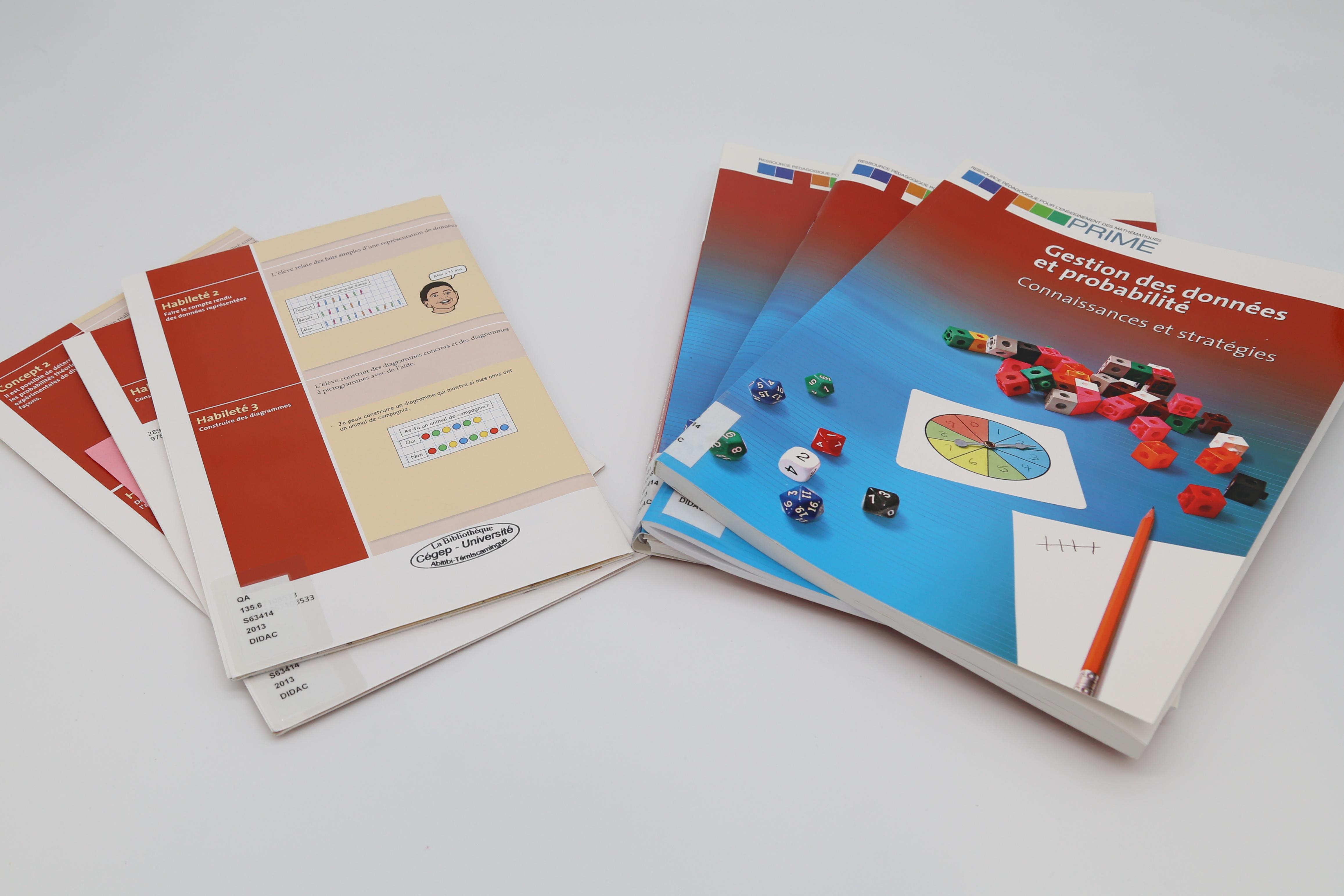 Prime gestion 1.1.JPG