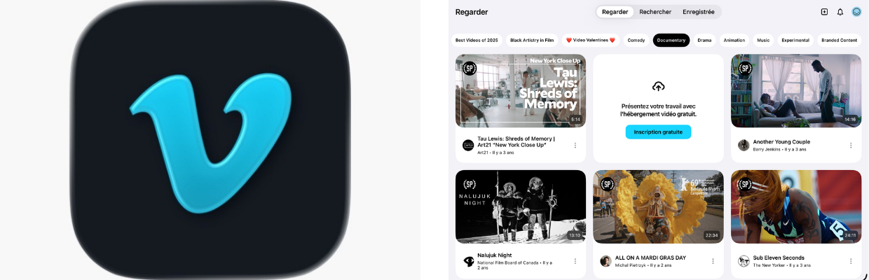Image double Vidéo en ligne iPad.png